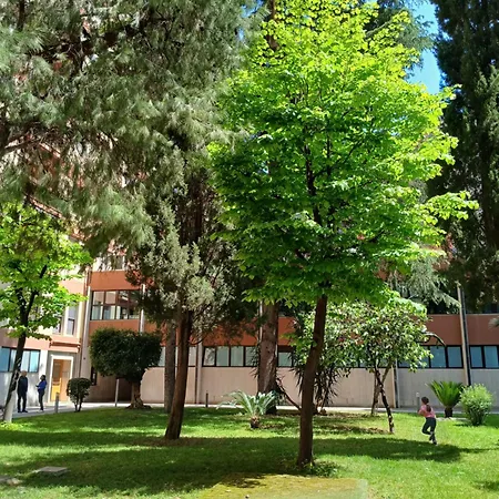 Carola